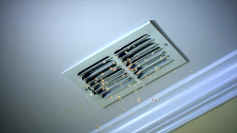 Best Residential Air Duct Cleaning  in Martinsvle, IL